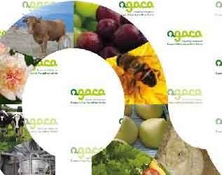 AGACA denuncia o abuso de Logística Alimentaria sobre os gandeiros de dúas cooperativas galegas
