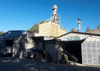 Éxito de la primera Feria Hortícola de El Plantel