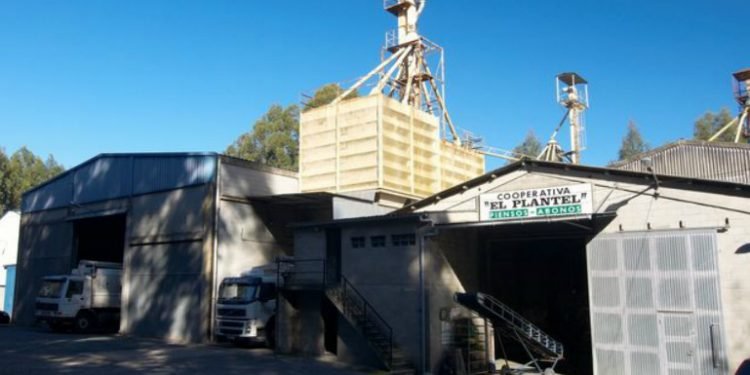 Éxito de la primera Feria Hortícola de El Plantel