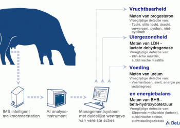 Bélgica muestra cómo gestionar datos en granjas de vacuno con el proyecto EuroDairy
