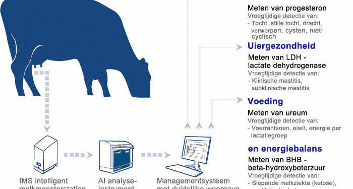 Bélgica muestra cómo gestionar datos en granjas de vacuno con el proyecto EuroDairy