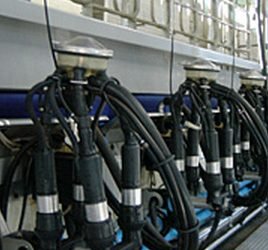 El Paquete Lácteo será el protagonista de la jornada profesional de mañana en Santiago