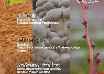 Cooperación Galega nº 127 Marzo 2016
