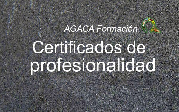 Certificado de profesionalidad – nivel 3 – en DINAMIZACIÓN COMUNITARIA