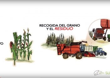 El programa Sucellog publica material formativo sobre establecimiento de centros logísticos de biomasa