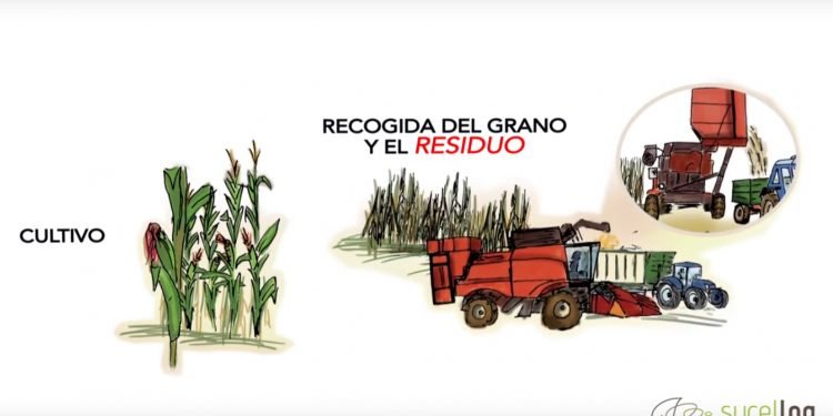 El programa Sucellog publica material formativo sobre establecimiento de centros logísticos de biomasa