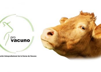 RNE 5 emite esta semana a reportaxe: Vaca e boi, carne madurada