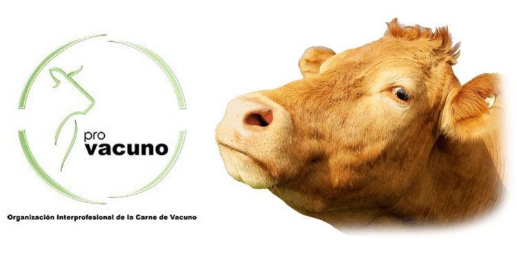 RNE 5 emite esta semana a reportaxe: Vaca e boi, carne madurada