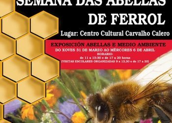 AGA propón trampas contra a velutina e presenta a Semana das Abellas de Ferrol
