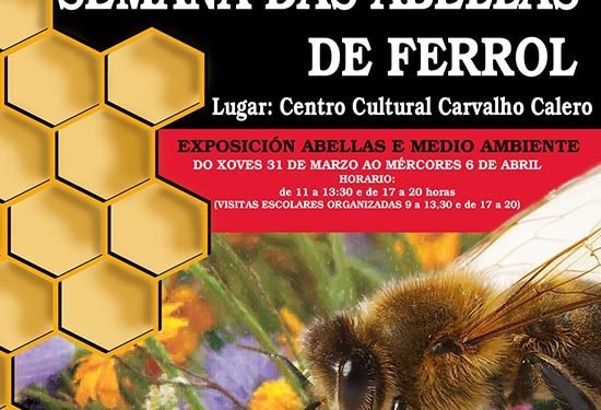 AGA propón trampas contra a velutina e presenta a Semana das Abellas de Ferrol