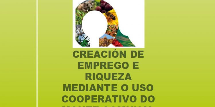 Creación de Emprego e Riqueza mediante o Uso Cooperativo do Monte Comunal – Valadouro
