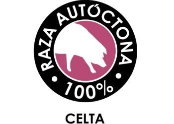 A raza celta, primeira da especie porcina que se adhire ao uso do logotipo “100% Raza Autóctona” para revalorizar os seus produtos