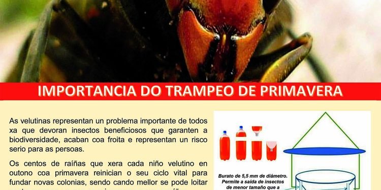 AGA comeza hoxe a campaña de charlas Stop Velutina en Valón