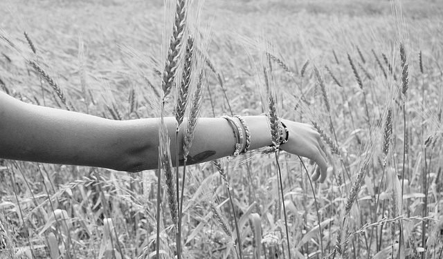 Dolores Calvo, presidenta de Nós, As Mulleres, fala sobre educación no Parlamento Europeo