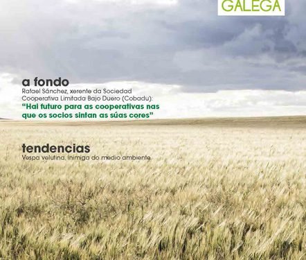 Cooperación Galega nº 123 – mayo 2015