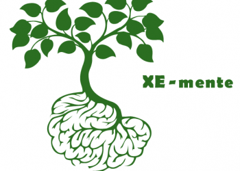 Se presenta mañana el proyecto “XE-MENTE” de formación gratuita en producción ecológica y sostenible
