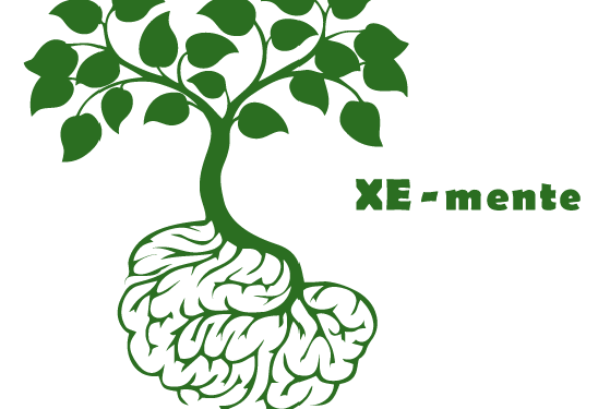Se presenta mañana el proyecto “XE-MENTE” de formación gratuita en producción ecológica y sostenible