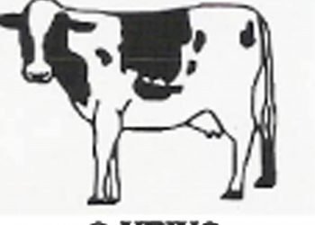 O XEIXO S. Coop. Galega