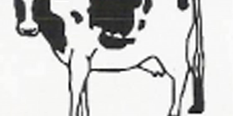 O XEIXO S. Coop. Galega