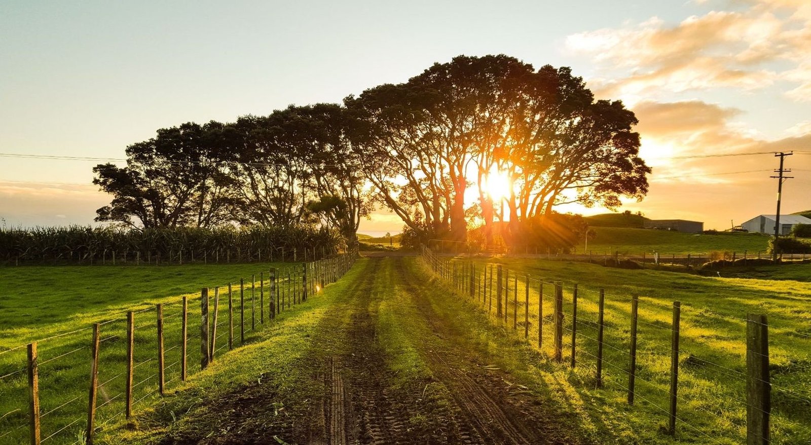 20170229_coops_ferrol_TVG