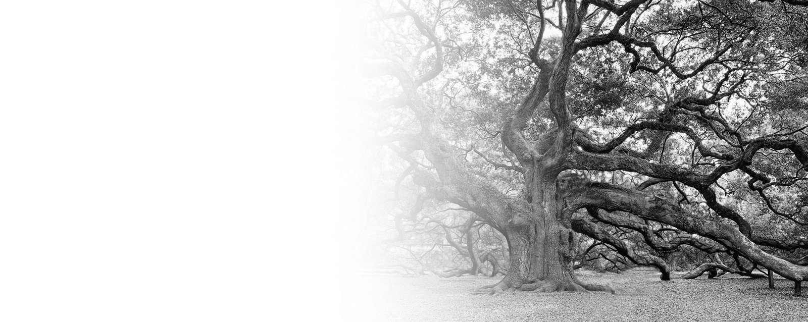 20170419-eusumo_cpi_ponte-carreira-xanceda