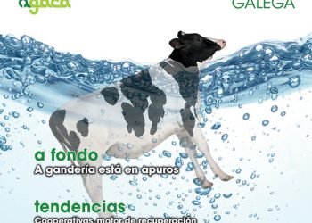 Cooperación Galega Nº 156 — Decembro 2021