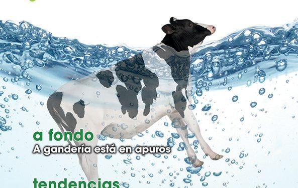 Cooperación Galega Nº 156 — Decembro 2021