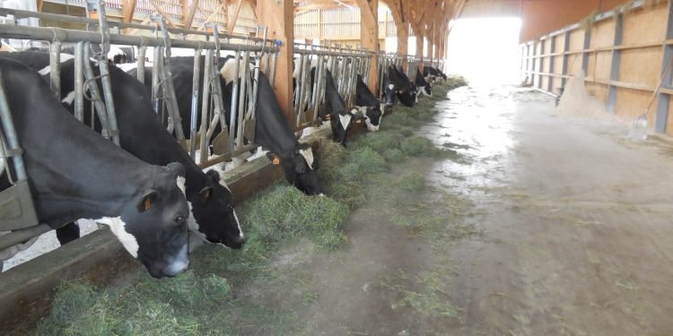 Cooperativas Agro-alimentarias de España respalda o papel da gandería e pide a dimisión do ministro Garzón