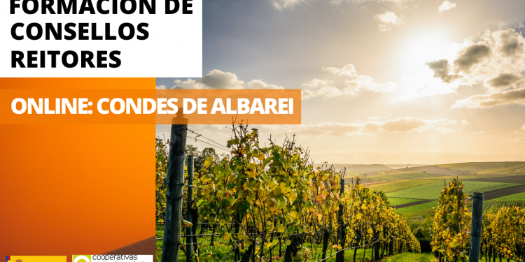 O Consello Reitor de Condes de Albarei perfecciona a súa formación cun curso especializado