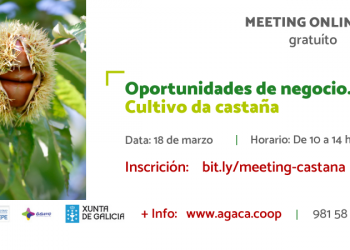 Inscríbete ao “Meeting formativo: oportunidades de negocio. Cultivo de castaña” que será o 18 de marzo