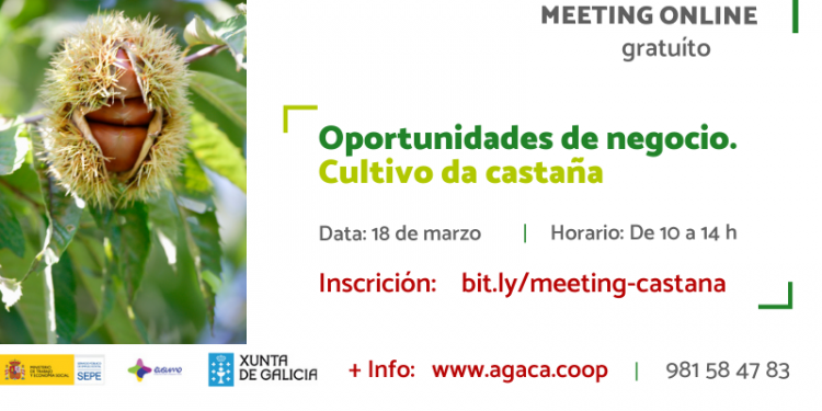 Inscríbete al “Meeting formativo: oportunidades de negocio. Cultivo de castaña” que será el 18 marzo