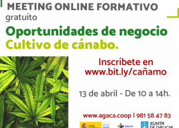 Meeting formativo – Oportunidades de negocio cultivo de cánabo