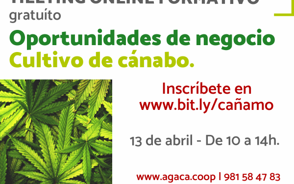 Meeting formativo – Oportunidades de negocio cultivo de cánabo
