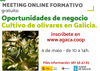— Inscrición – Meeting formativo. Oportunidades de negocio. Cultivo de oliveirais en Galicia – 6 de maio