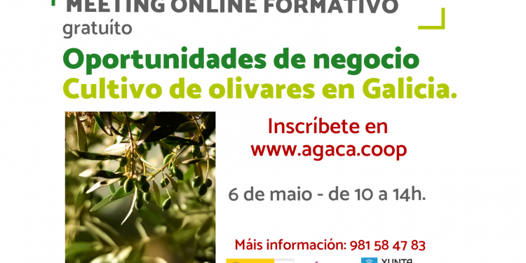 — Inscrición – Meeting formativo. Oportunidades de negocio. Cultivo de oliveirais en Galicia – 6 de maio