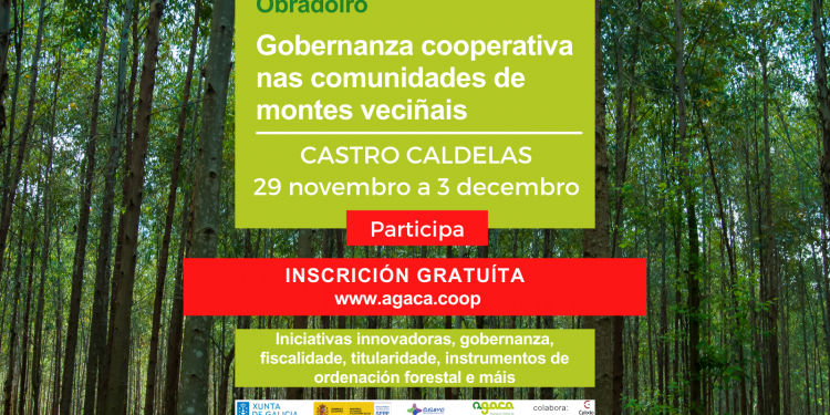 O 29 de novembro comeza un obradoiro para Comunidade de Montes en Castro Caldelas