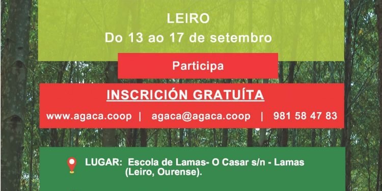Del 13 al 17 de septiembre: Obradoiro “Gobernanza cooperativa en las Comunidades de Montes Vecinales” – Leiro