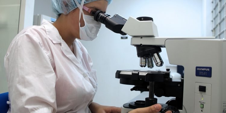 Entrou en vigor a nova normativa sobre medicamentos veterinarios