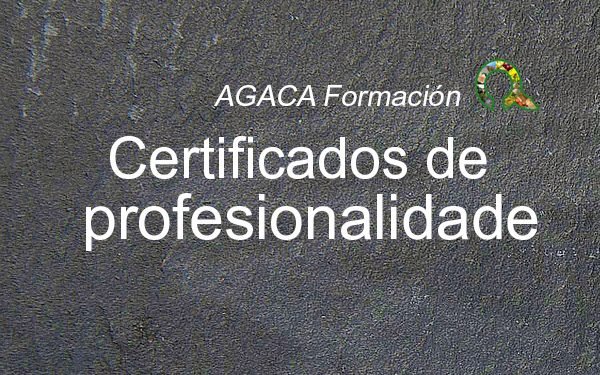 Certificado de profesionalidade – Nivel 3 – DINAMIZACIÓN COMUNITARIA