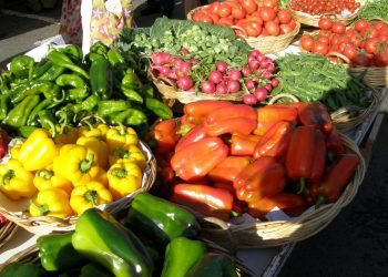 Aplicación de la Ley de la Cadena en Galicia