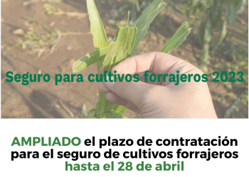 Ampliado hasta el 28 de abril el plazo de contratación del seguro para cultivos forrajeros 2023