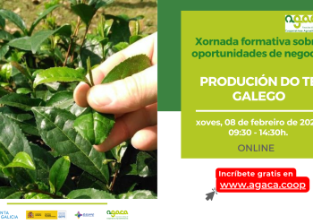 — Oportunidades de negocio: produción do té galego.