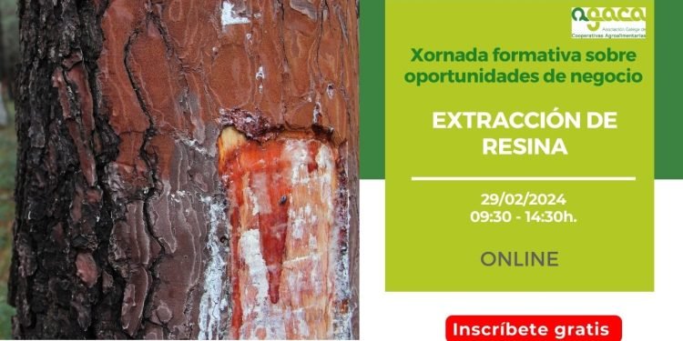 — Oportunidades de negocio: extracción de resina