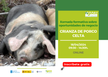 Aberta a inscrición á Xornada sobre cría de porco celta do 18 de abril