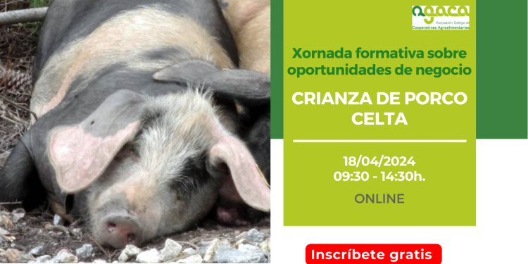 Abierta la inscripción a la Jornada sobre cría de porco celta del 18 de abril