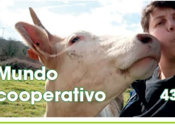 Cooperación Galega Nº 168 – Maio 2024