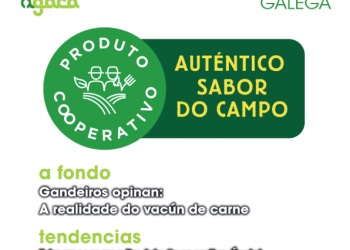 Cooperación Galega Nº 168 – Maio 2024