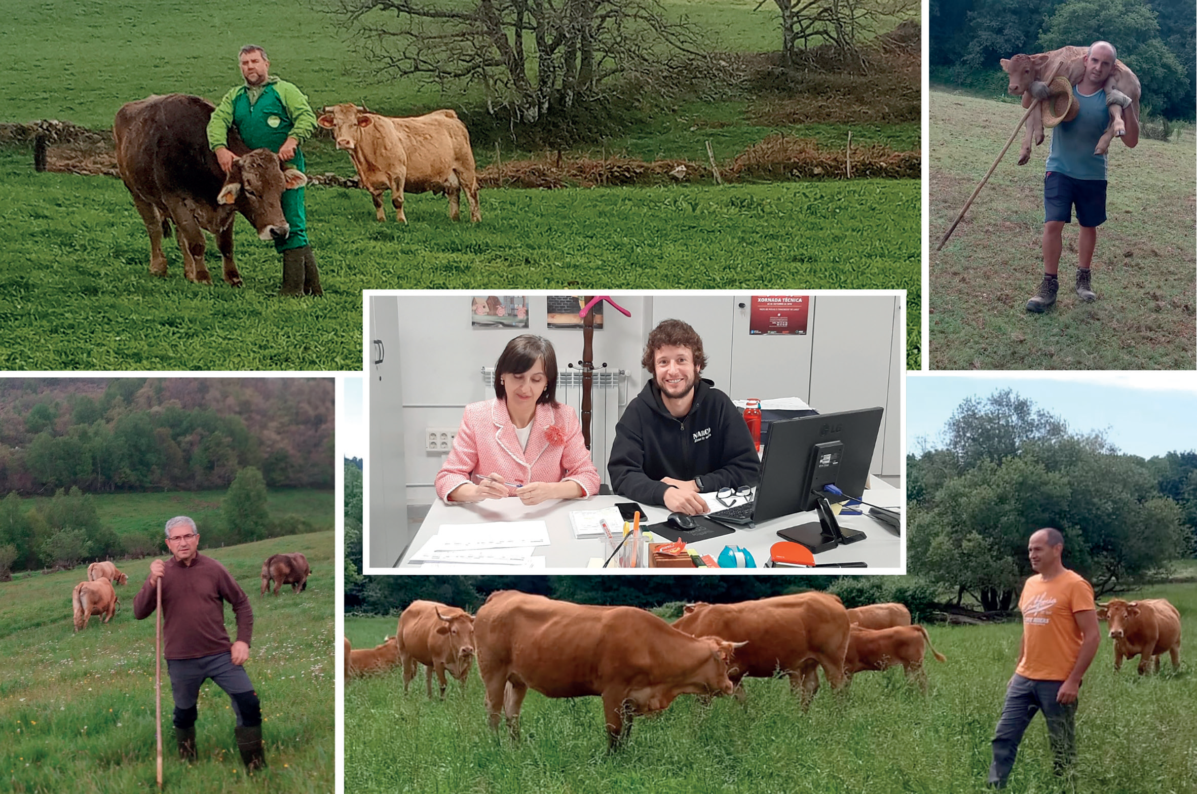 Ganaderos opinan sobre la realidad del vacuno de carne