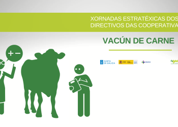 El vacuno de carne, a fondo en una jornada el 11 de julio