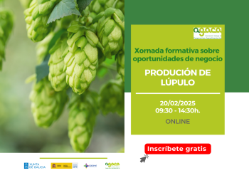 Abre a inscrición á xornada sobre produción de lúpulo do 20 de febreiro